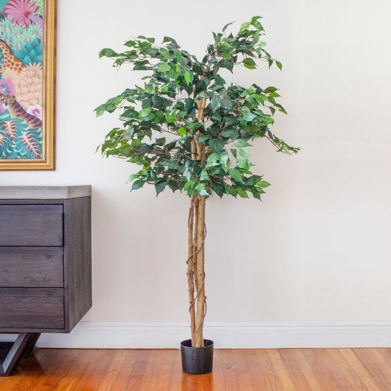 artificial ficus tree