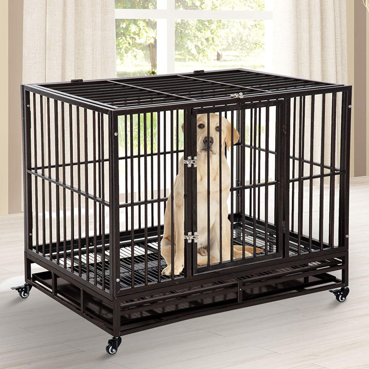 elevated dog cage