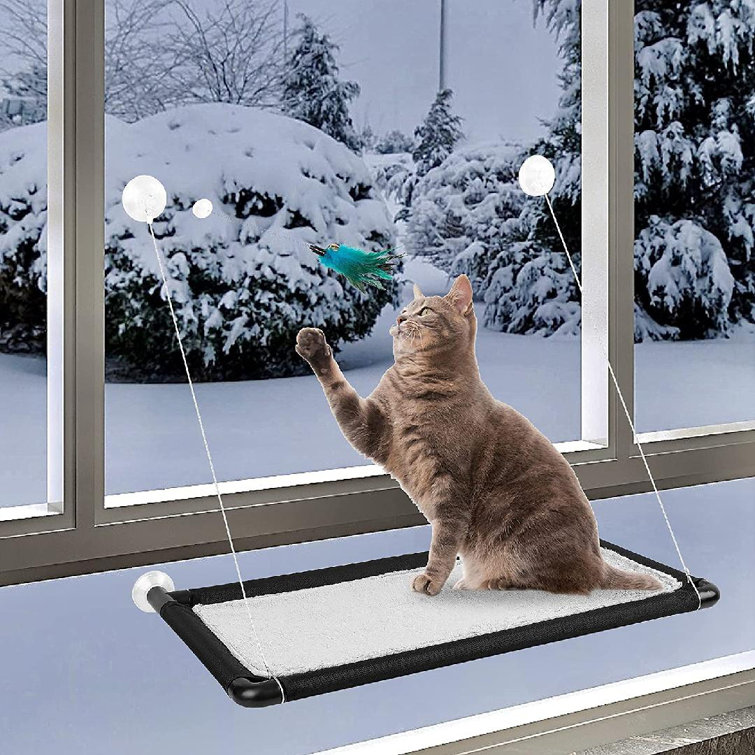 extra large cat hammock