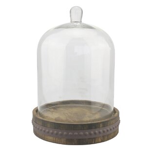 Large Glass Bell Jar Cloche Display Decorative Piece 25cm 