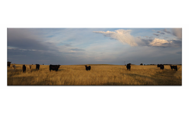 'Mountain Storm' Photographic Print