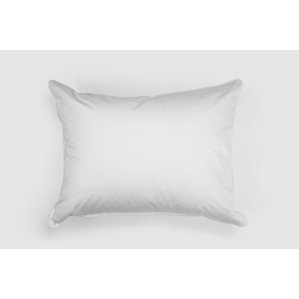 100% Down Pillow by Alwyn Home