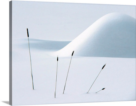 Canvas On Demand Still Life In Winter By Alain Turgeon Wall Art On
