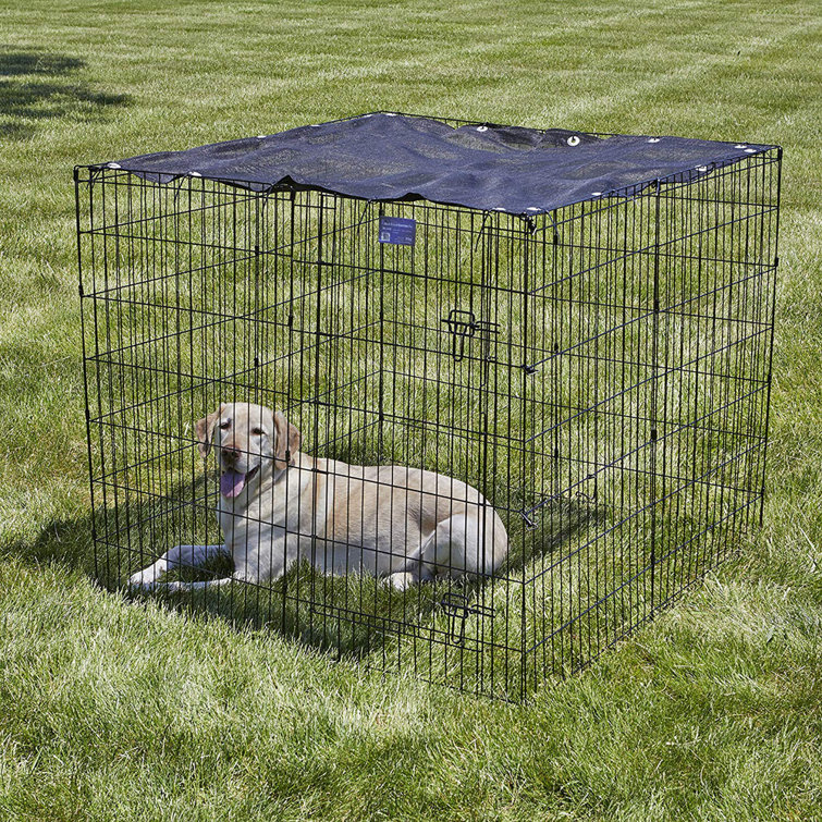 exercise pen with top