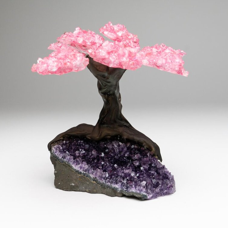 Download Astro Gallery Of Gems Medium Genuine Rose Quartz Clustered Gemstone Tree On Amethyst Matrix The Love Tree Reviews Perigold