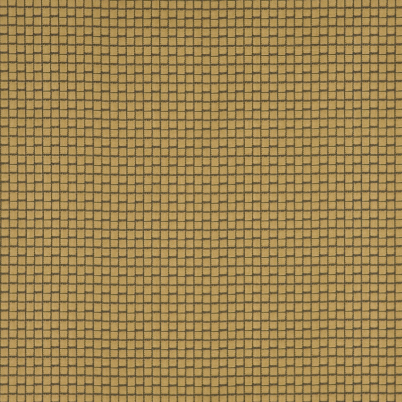 La Selva Black Plaid Fabric