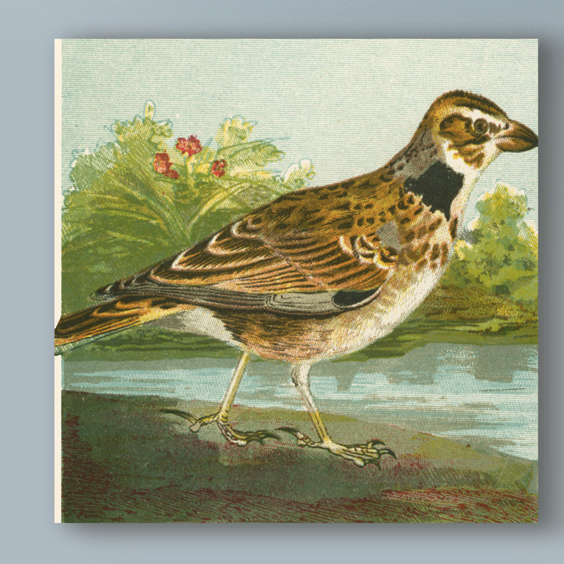 Charlton Home Mini Vintage Birds Iii Acrylic Painting Print On