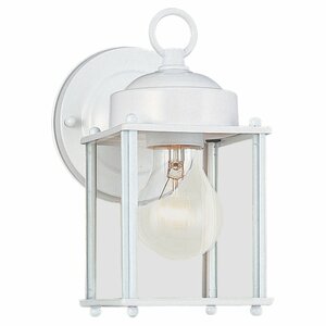 Abbey Glen 1-Light Outdoor Wall Lantern