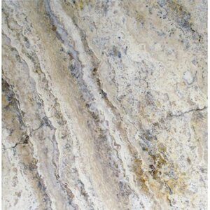 Philadelphia Travertine Field Tile in Honed, Unfilled and Chipped Brushed Gray