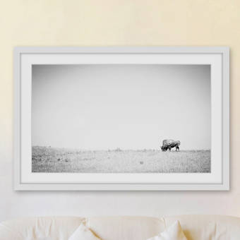 Yoka Framed Graphic Art Print By Terri Ellis Picture Frame Graphic Art Print On Paper Reviews Allmodern