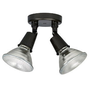 Best Joellen 2-Light Outdoor Spotlight By Williston Forge Outdoor Lighting Joellen 2-Light Outdoor Spotlight By Williston Forge Outdoor Lighting