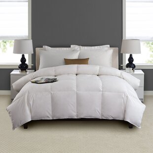 Cotton Twin Down Comforters Duvet Inserts You Ll Love In 2020