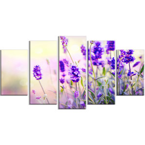 Wayfair Wall Art lavender canvas wall art | wayfair Wayfair Wall Art lavender canvas wall art | wayfair
