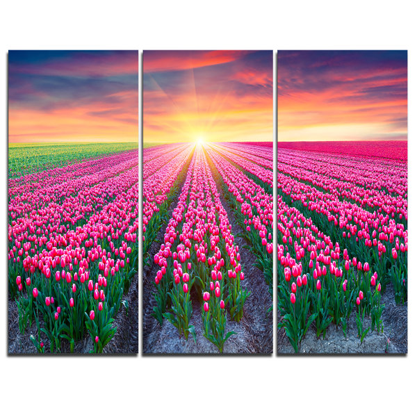 Designart Blooming Tulips At Sunrise 3 Piece Graphic Art On Wrapped Canvas Set Wayfair