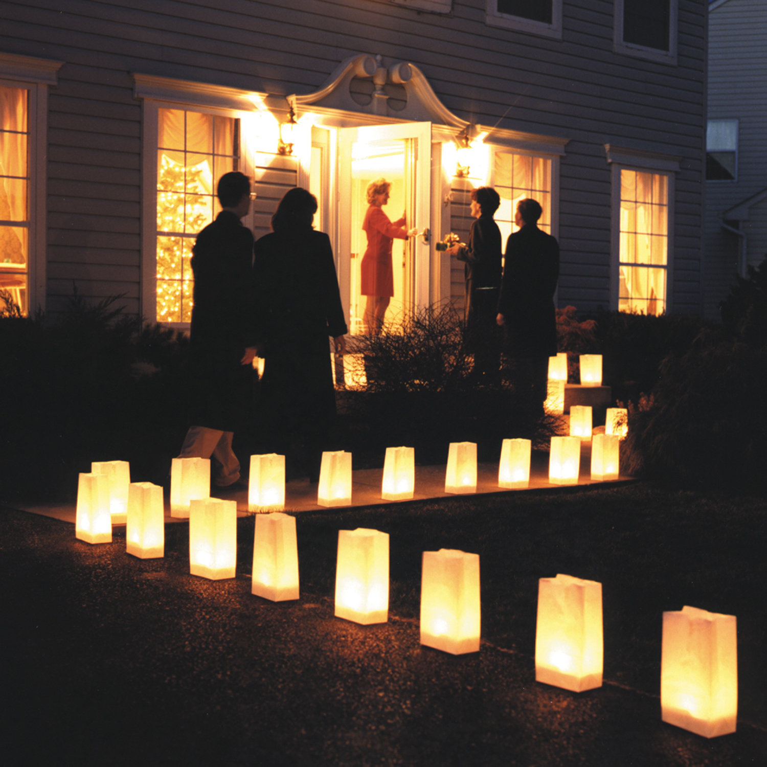 The Holiday Aisle Candle Luminary Pathway Lights Reviews Wayfair The Holiday Aisle Candle Luminary