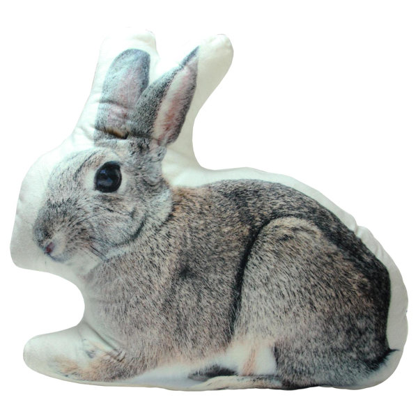 Loon Peak Emmaline Charming Bunny Rabbit Decorative Throw Pillow