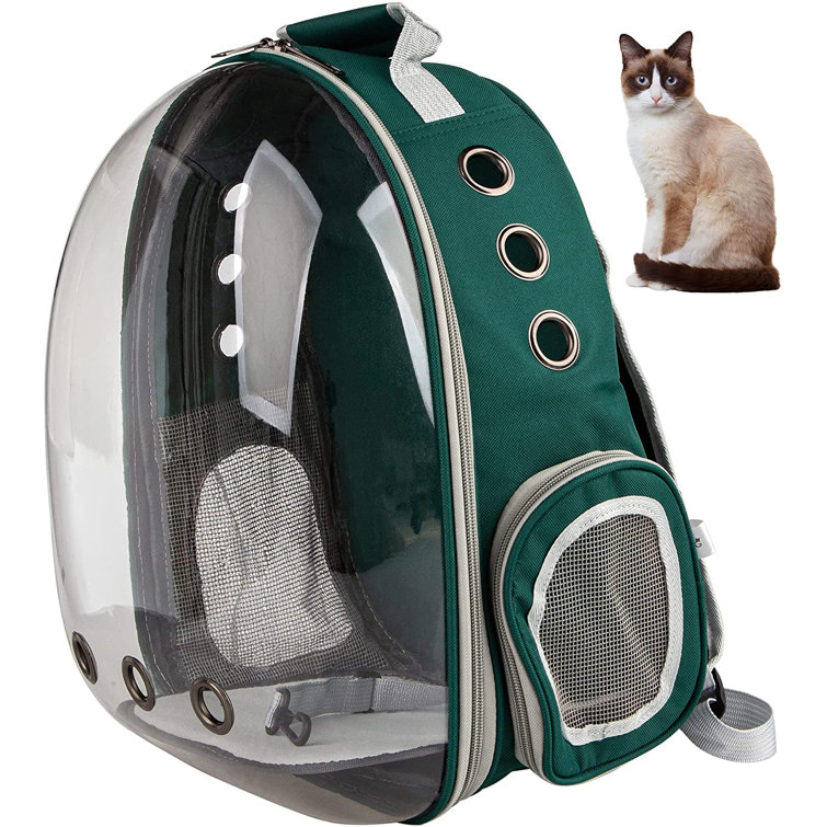 cat in bubble backpack