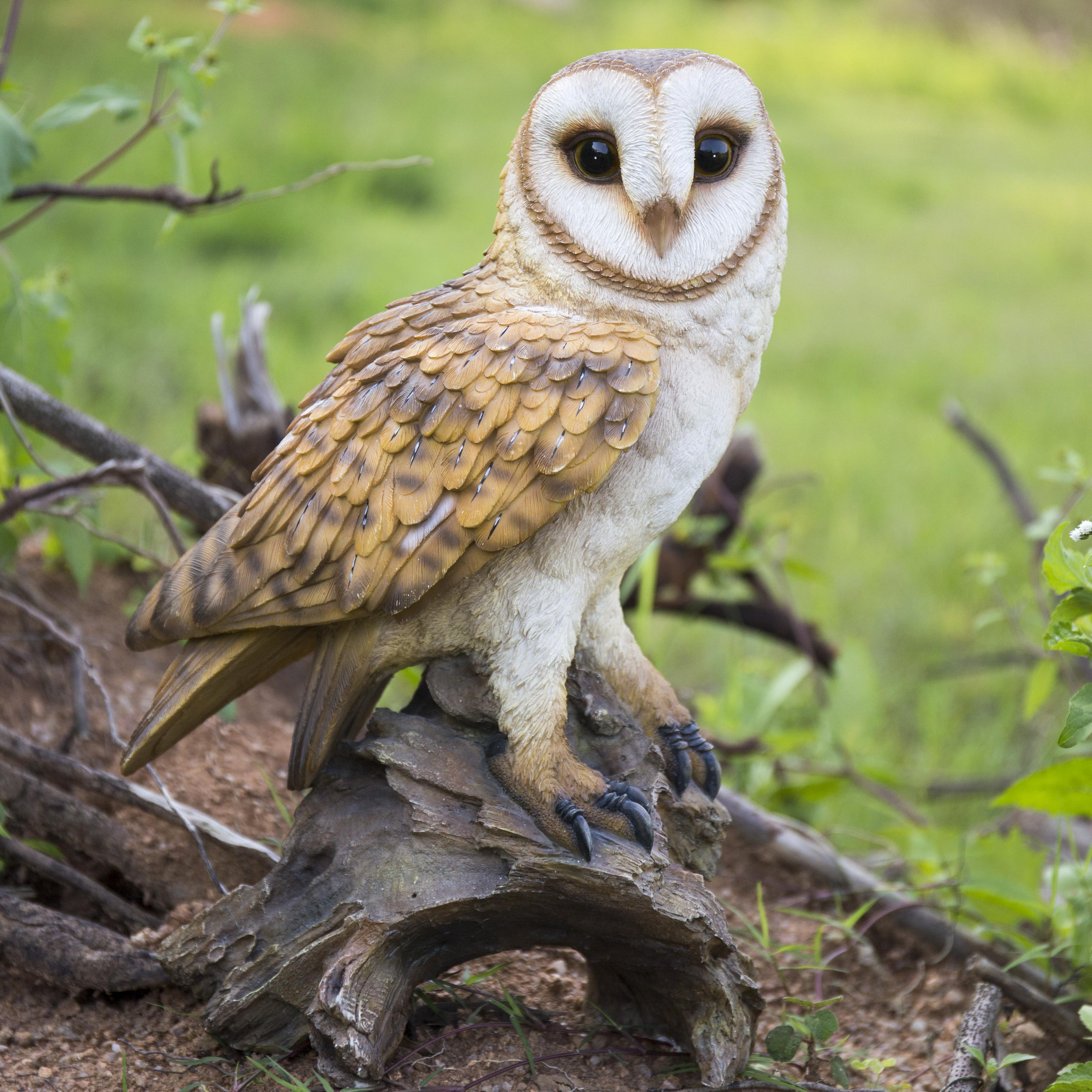 Hi-Line Gift Eagle Owl on Branch with Wings Out Statue
