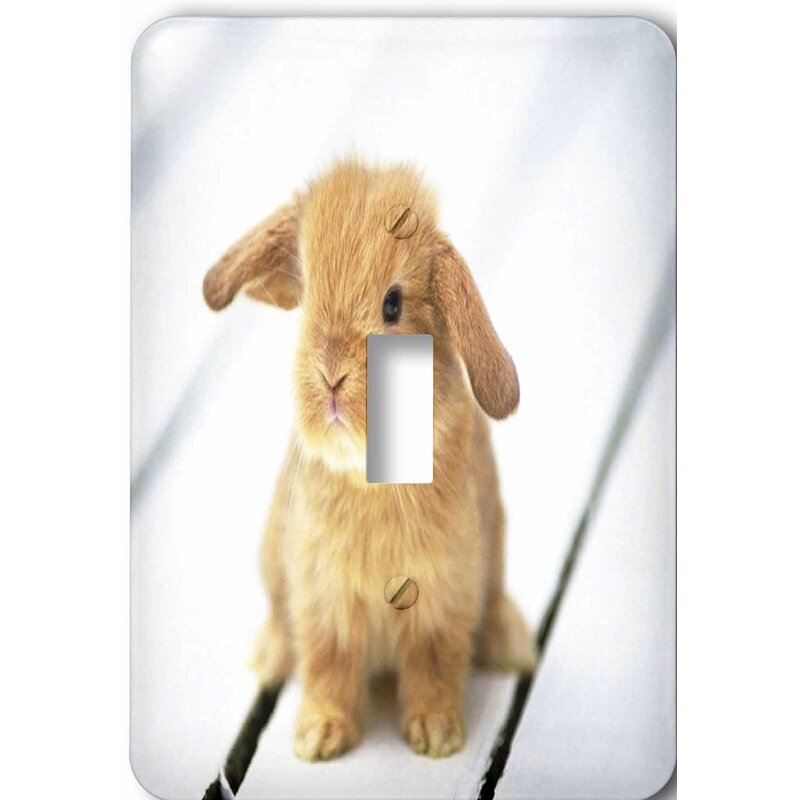 bunny switch