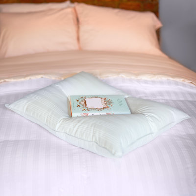 Down Extra Thin, Flat & Soft Bed Pillow for Stomach Sleepers