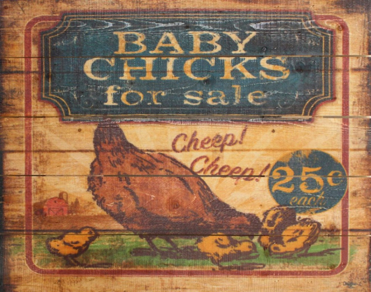 August Grove® Baby Chicks For Sale on Wayfair