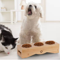 multiple dog feeder