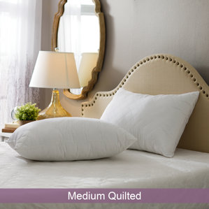 Wayfair Basics Medium Quilted Pillow (Set of 2) by Wayfair Basics?