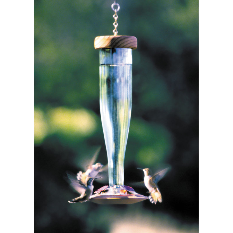Schrodt Lantern Hummingbird Feeder Reviews Wayfair
