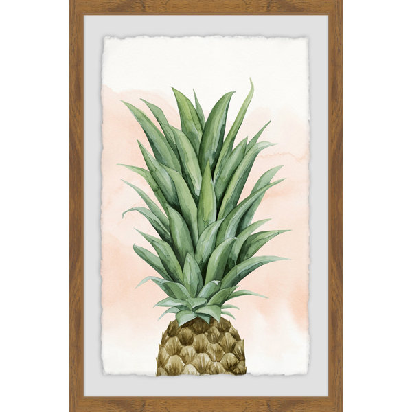 Bay Isle Home Pineapple On Coral Ii Framed Graphic Art Print Wayfair