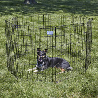 precision pet courtyard kennel exercise pen
