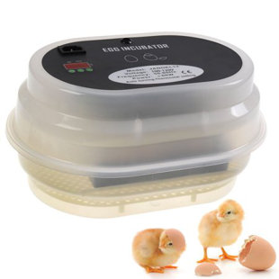 Ayres Egg Incubator Digital Automatic Turning Hatcher With Temperature Control By By Zeny