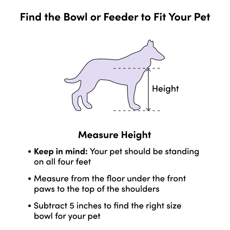 what size elevated dog feeder should i get