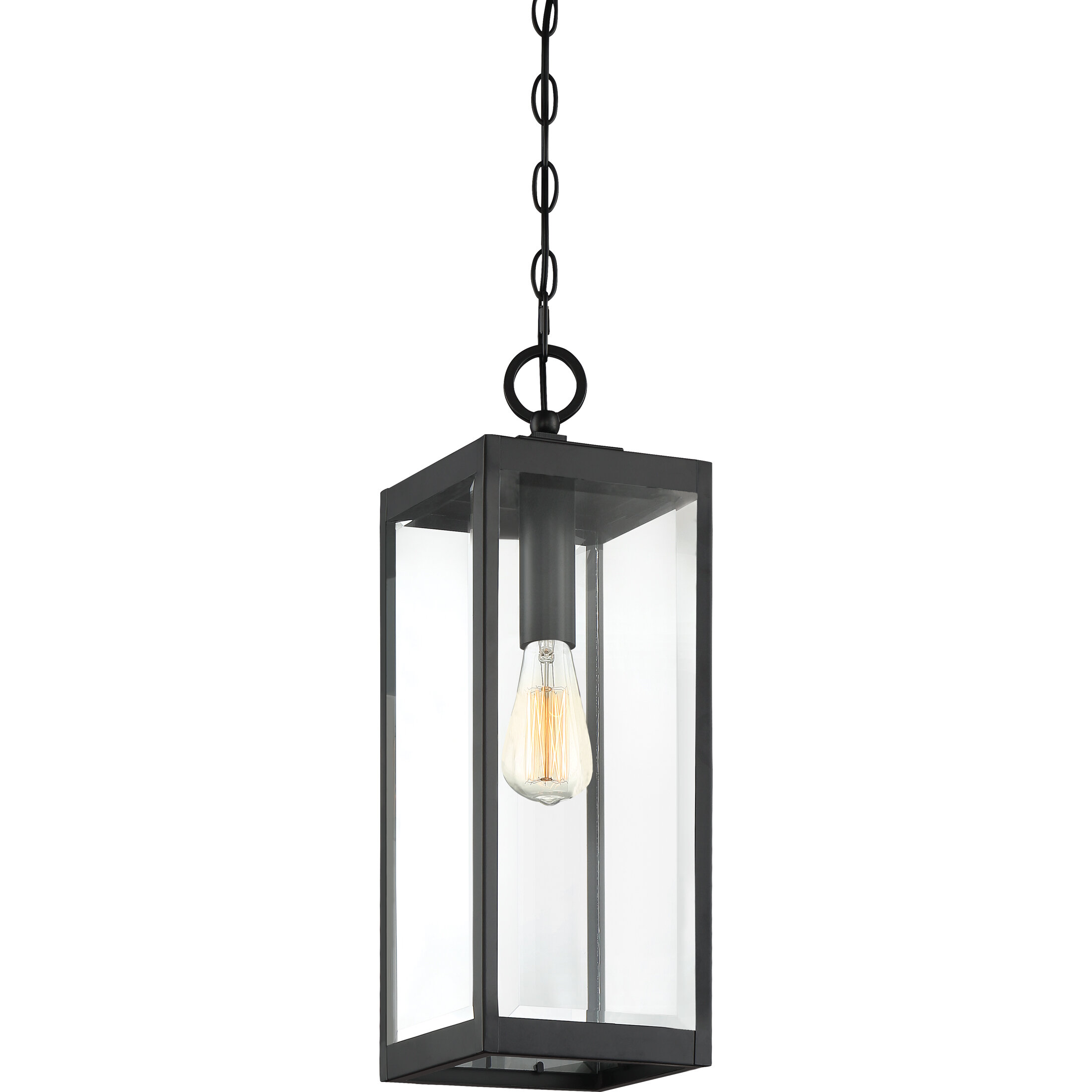 Kaylie Viles 1 Light Outdoor Hanging Lantern