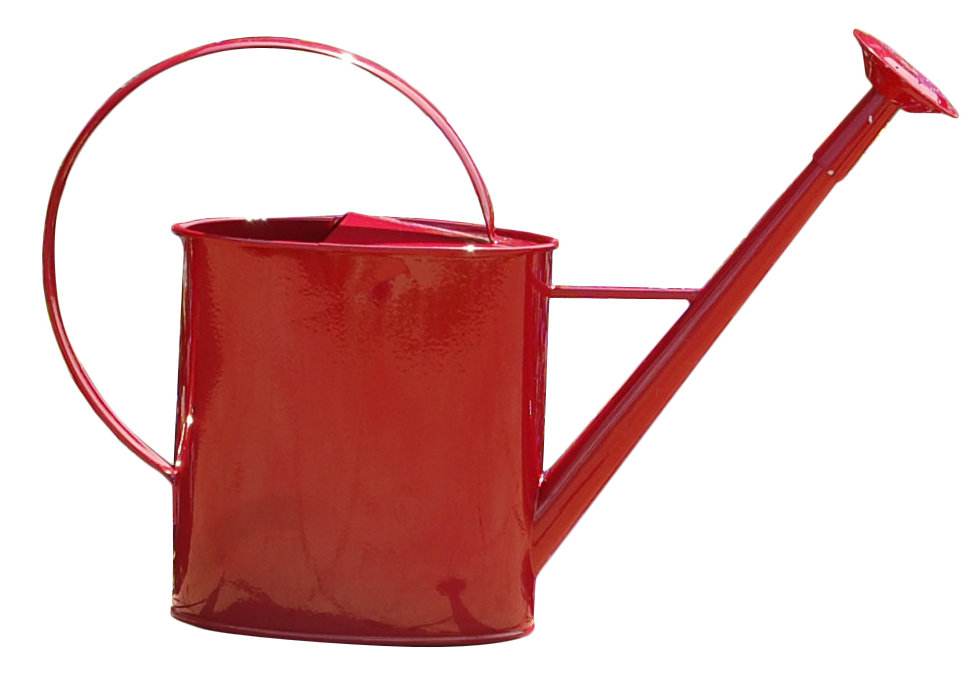 Griffith Creek Designs Metal 1 Gallon Watering Can With Long Spout Griffith Creek Designs Metal 1 Gallon Watering Can With Long Spout Reviews Wayfair