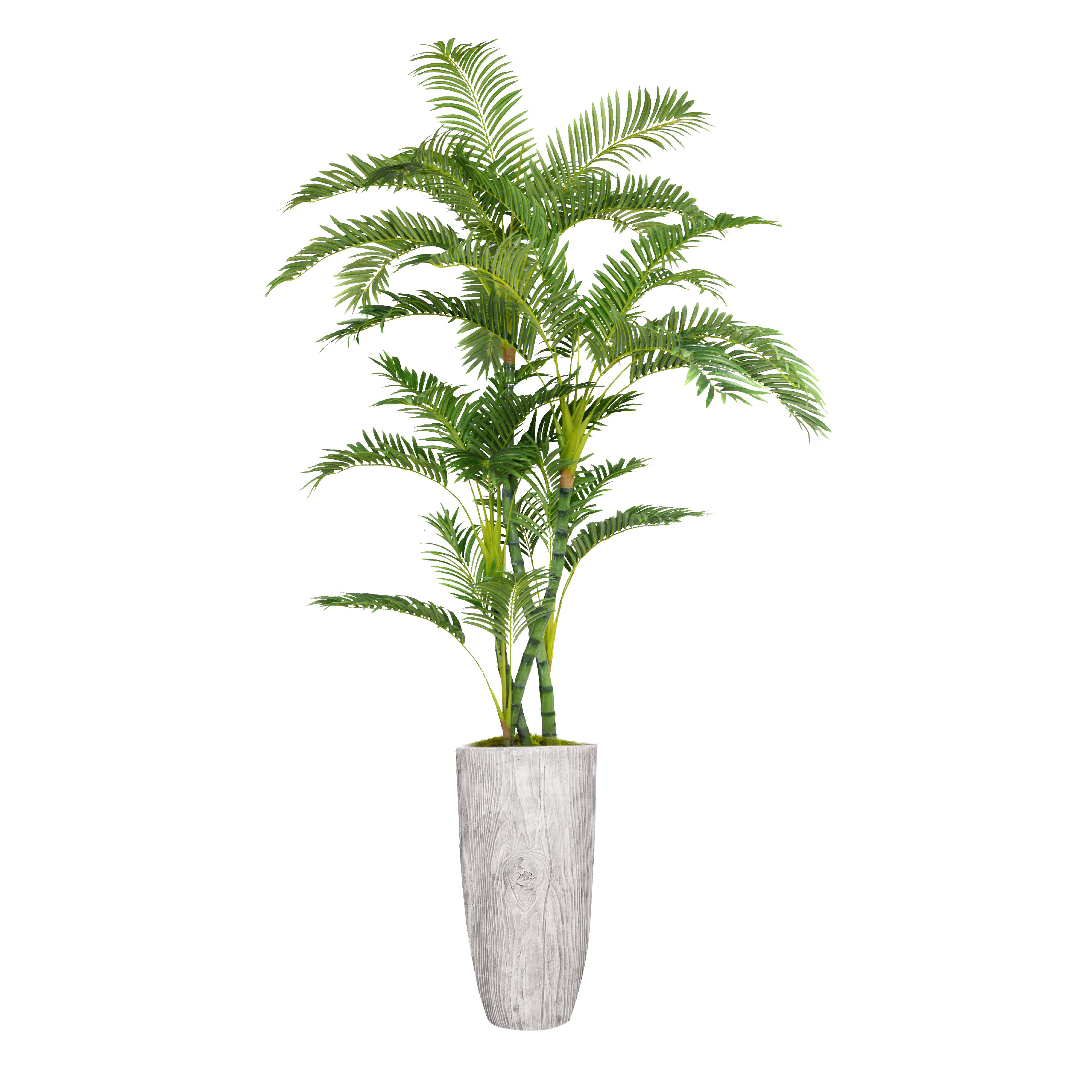 Primrue 72" Artificial Palm Tree in Planter & Reviews Wayfair