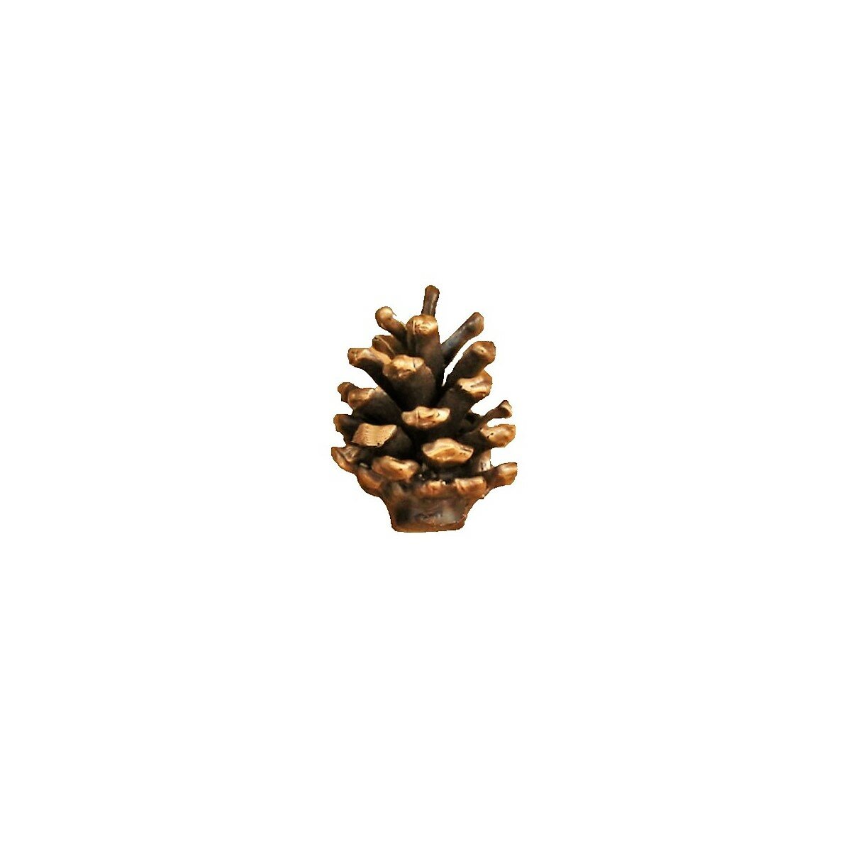 Timberbronze53 Llc Lodgepole Pine Cone Novelty Knob Wayfair Ca