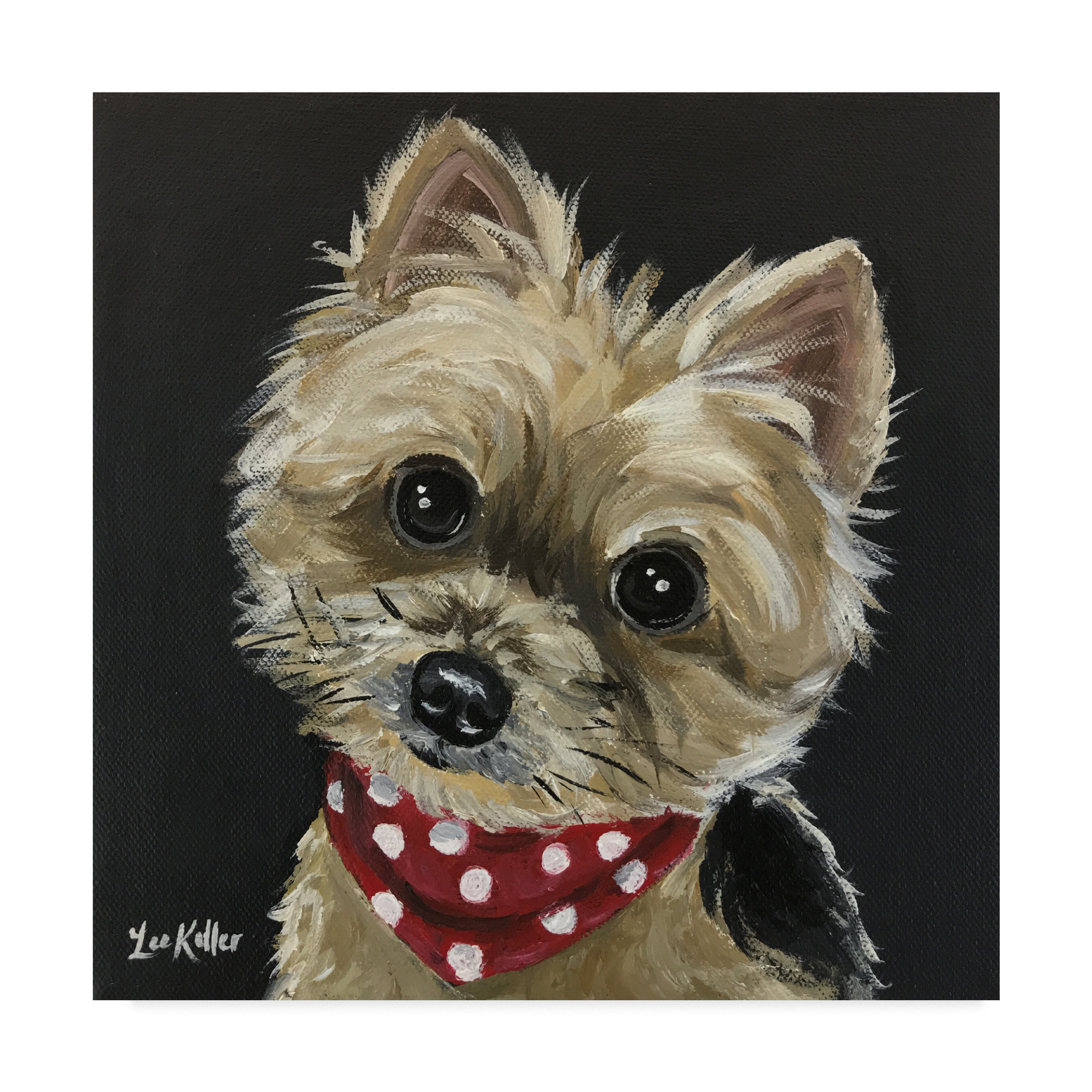 yorkie bandana