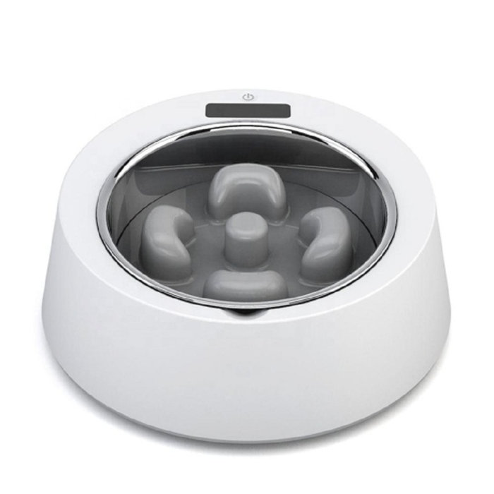 Hugsmart Pet Slow Feeder Wayfair Ca