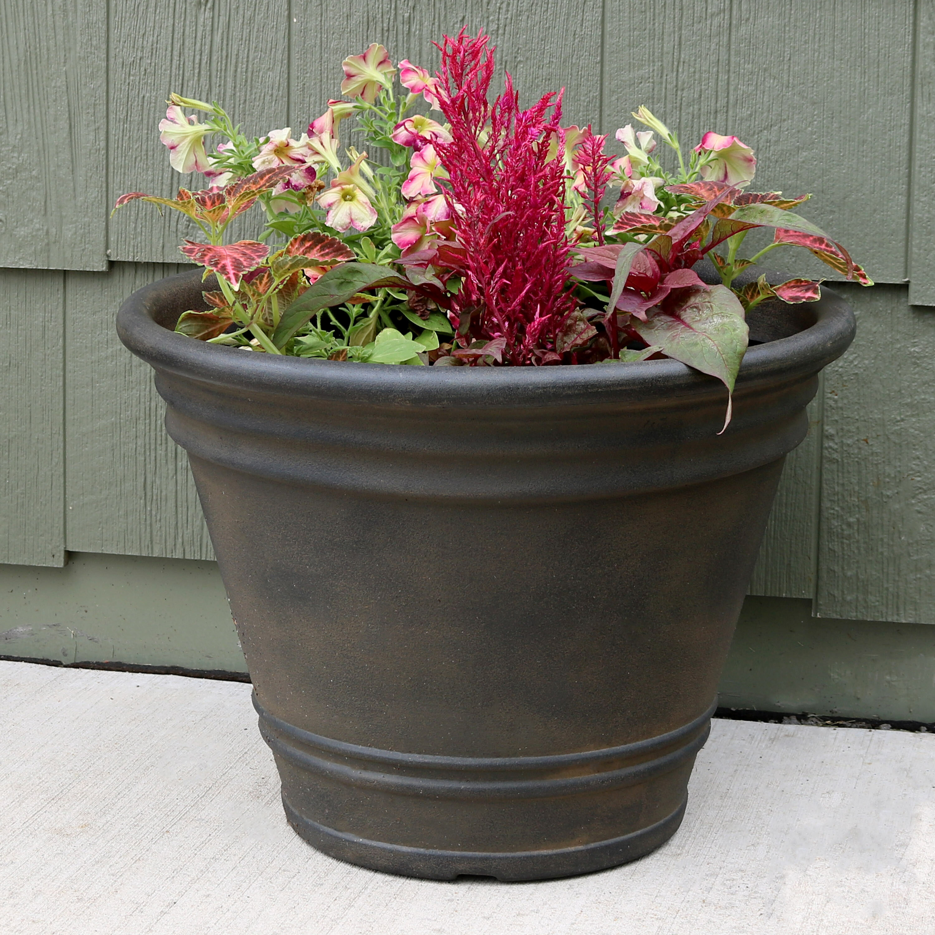 Charlton Home® Pepinn Resin Pot Planter & Reviews | Wayfair