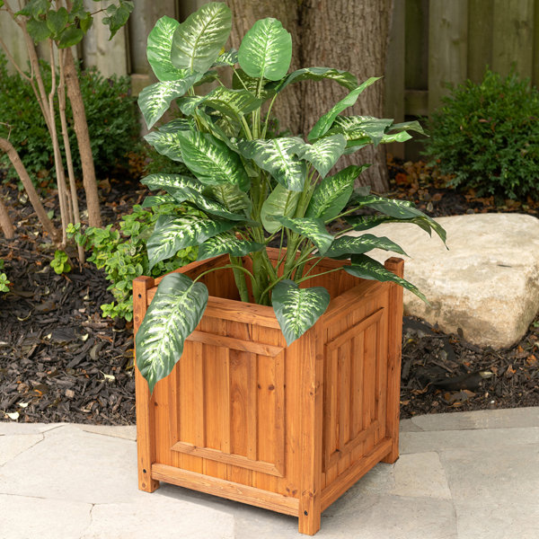 Leisure Season Decorative Planters Cypress Planter Box Wayfair