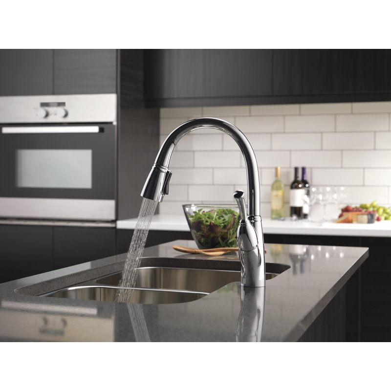 Soap In Stainless Home Improvement Delta Linden Single Handle Pull