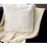 Isotonic Indulgence Pillow Wayfair