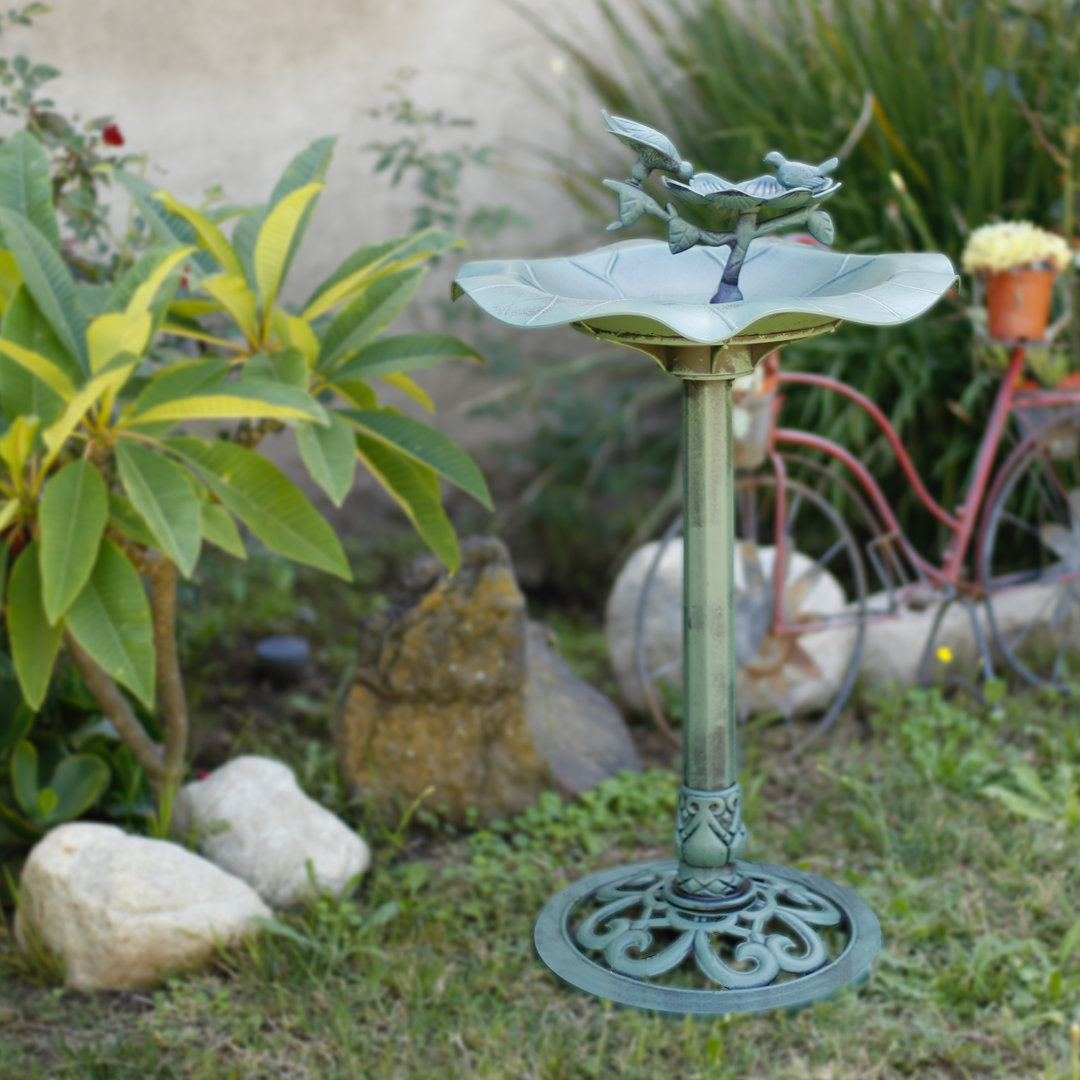 Bird Bath