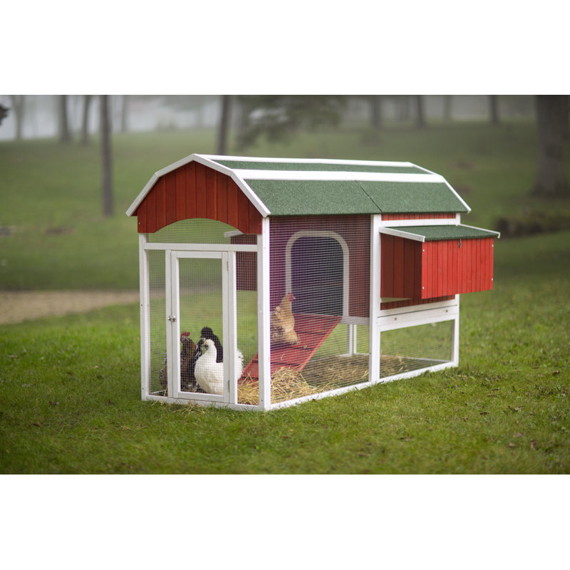 Hermione Large Barn Chicken Coop With Chicken Run