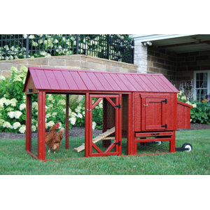 Dinah Atlanta Chicken Tractor with Chicken Run