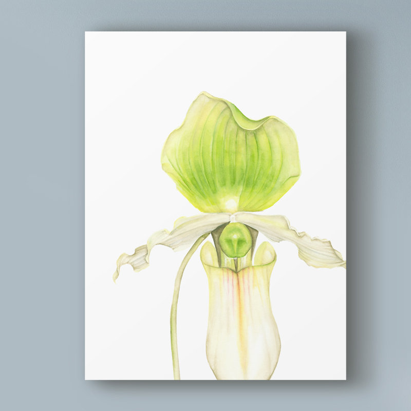 House Of Hampton Small Orchid Beauty Iv Acrylic Painting Print