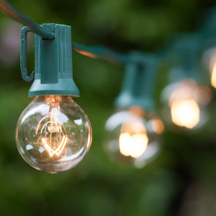 Best 50-Light Globe String Lights By Wintergreen Lighting Outdoor Lighting 50-Light Globe String Lights By Wintergreen Lighting Outdoor Lighting
