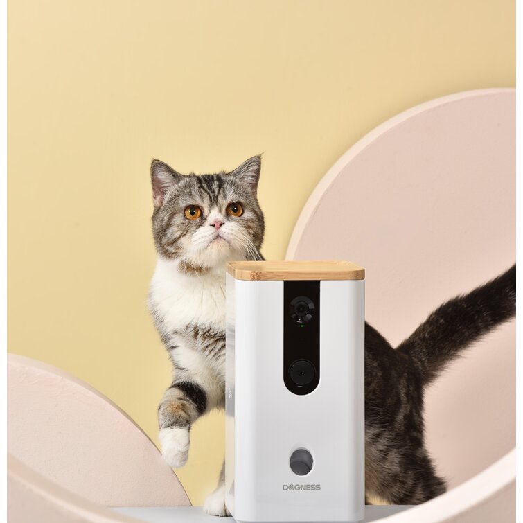 automatic cat treat dispenser