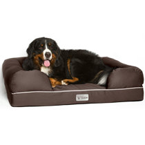dog large bed