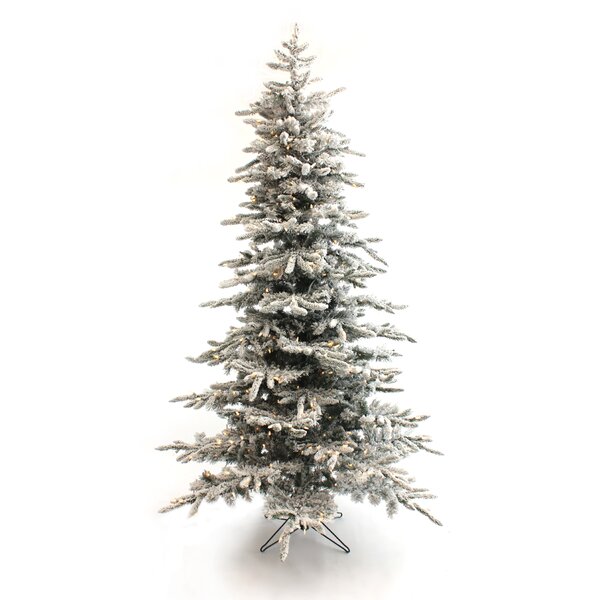 The Holiday Aisle® Pre-Lit Slim Green Pine Artificial Christmas Tree With Clear/White Lights & Reviews | Wayfair